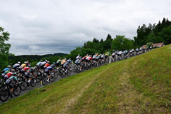 Das Peloton unterwegs im Innviertel, 2. Etappe Eferding - Reichersberg, Oberösterreich Rundfahrt