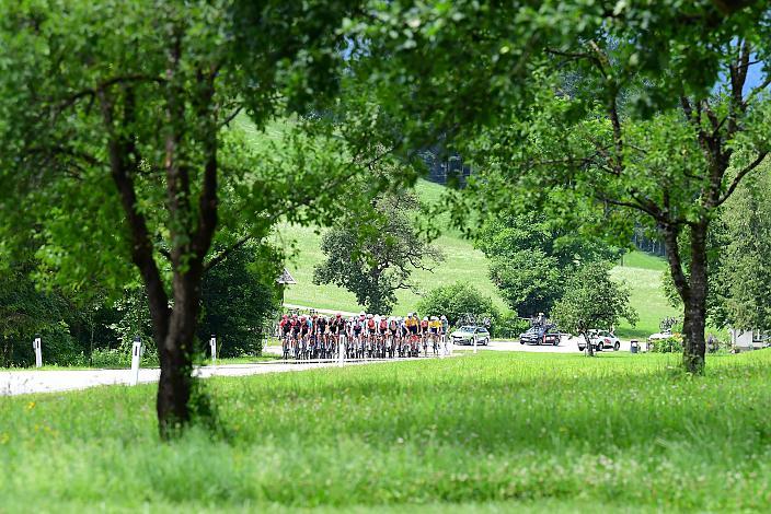 Das Peloton unterwegs in der Region Ybbstal, bei Hollenstein an der Ybbs, Drei Länder Meisterschaft U23,  Austria
