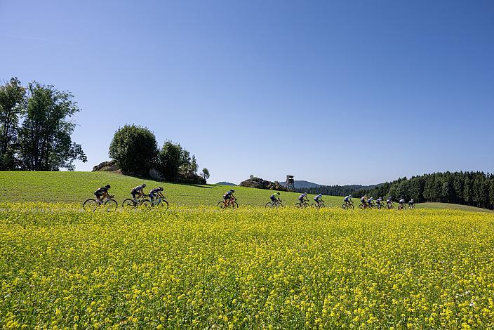 Damen Elite, U23, Cycling League Austria Radliga, Mühlviertler Hügelwelt Classic Elite Damen, Königswiesen, OÖ