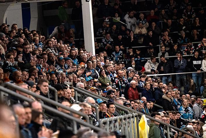 Fans der Steinbach Black Wings Linz vs HCB Südtirol Alperia, Viertelfinale, 4. Runde ICE Hockey League, Linz AG Eisarena 