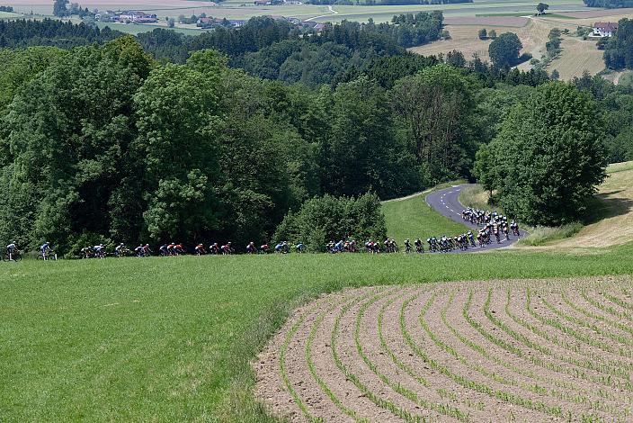 Das Peleton in der Abfahrt von Stroheim, 1. Etappe Eferding - Geinberg, Int. Raiffeisen Oberösterreich Rundfahrt UCI Kat. 2.2