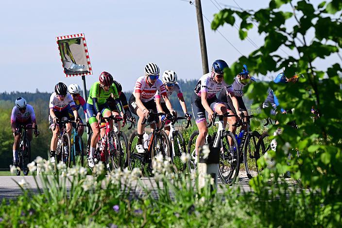 Katharina Sadnik (AUT, KTM Factory MTB Team) Damen Elite, U23, Road Cycling League Austria, 63. Raika Kirschbluetenrennen, Wels, Oberösterreich