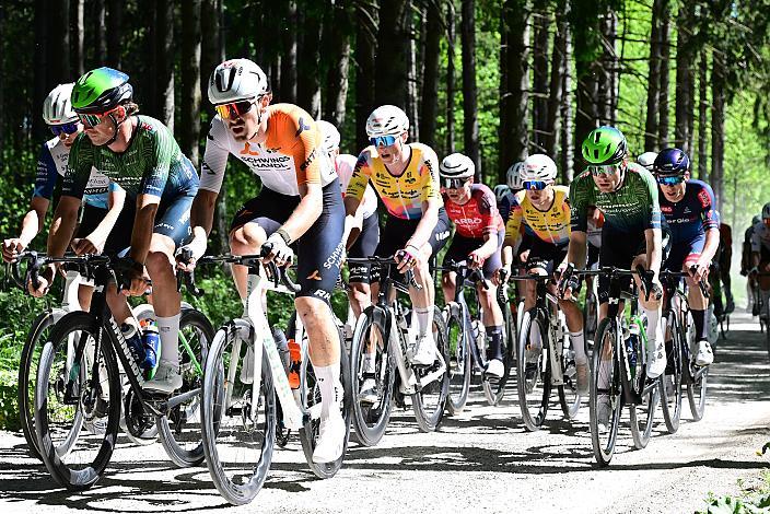 Herren Elite, U23, Road Cycling League Austria