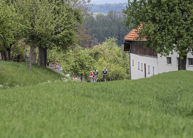 Das Feld der Fahrer bei St. Marienkirchen
