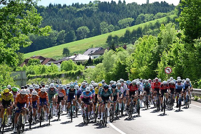 Das Peloton unterwegs im Traunviertel  3. Etappe Asten - Bad Schallerbach, Oberösterreich Rundfahrt