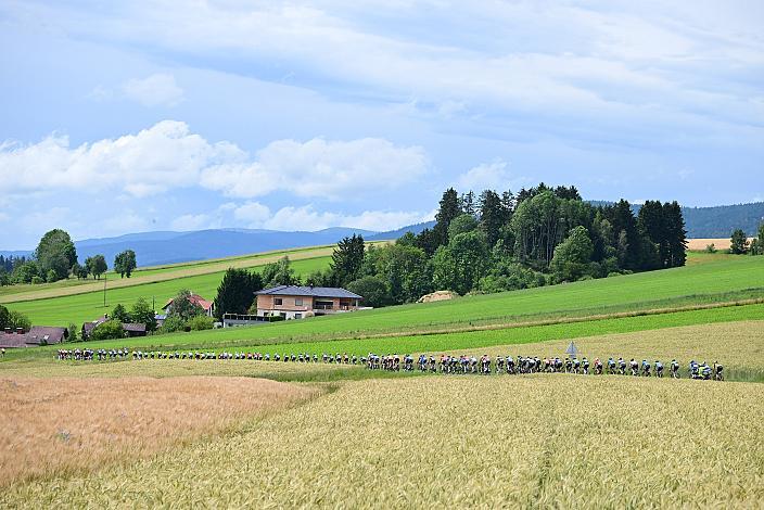 Das Peloton auf der 2. Etappe unterwegs von , Wels nach Aigen - Schlägl, 14. Int. Raiffeisen OÖ-Radrundfahrt UCI Kat. 2.2