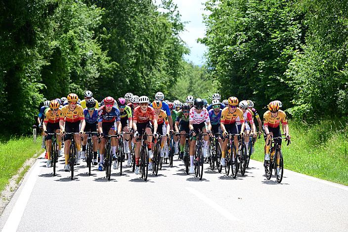 Das Peloton auf der 2. Etappe unterwegs von , Wels nach Aigen - Schlägl, 14. Int. Raiffeisen OÖ-Radrundfahrt UCI Kat. 2.2