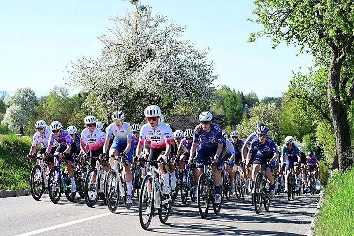 Damen Elite, U23, Road Cycling League Austria, 64. Raika Kirschbluetenrennen, Wels, Oberösterreich