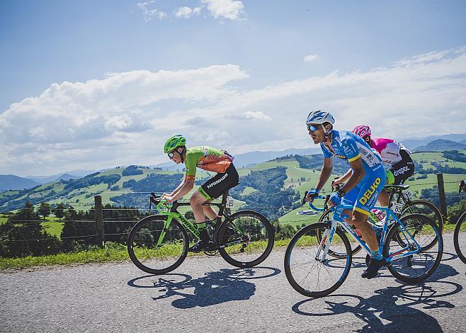 Patrick Bosman (AUT, Hrinkow Advarics Cycleang Team) 7. Etappe Waidhofen/Ybbs - Sonntagberg 70. Ã–sterreich Rundfahrt 