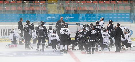 Head-Coach Troy Ward (EHC Liwest Black Wings Linz) und das Team am Eis 