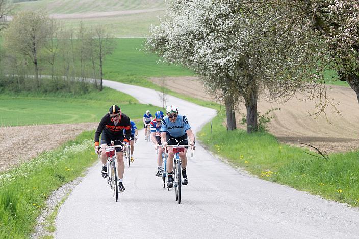 7. Kirschblüten Radklassik, Rad Klassik, Oldtimer, Vintage, Stahlrad, Radsport, Eferding, Oberösterreich