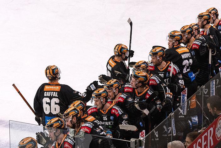 Die Steinbach Black Wings Linz feiern das Tor zum 2 zu 0 durch Emilio Romig (Steinbach Black Wings Linz) Steinbach Black Wings Linz vs  - Migross Supermercati Asiago Hockey 1935, Runde 37, ICE Hockey League, Steinbach Black Wings Linz, Linz AG Eisarena 