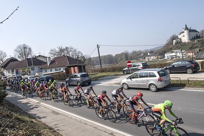 Das Feld der Elite bei Wilhering im Hintergrund Ottensheim 59. Rad SaisonerÃ¶ffnungsrennen Leonding, Rad Bundesliga 2019