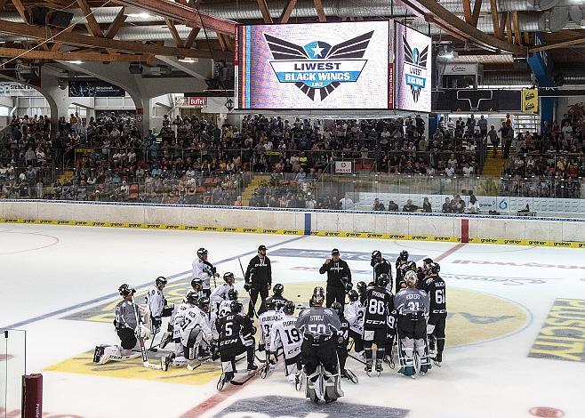 Head-Coach Tom Rowe (EHC Liwest Black Wings Linz) , Trainingsstart der EHC Liwest Black Wings  EHC Liwest Black Wings Linz