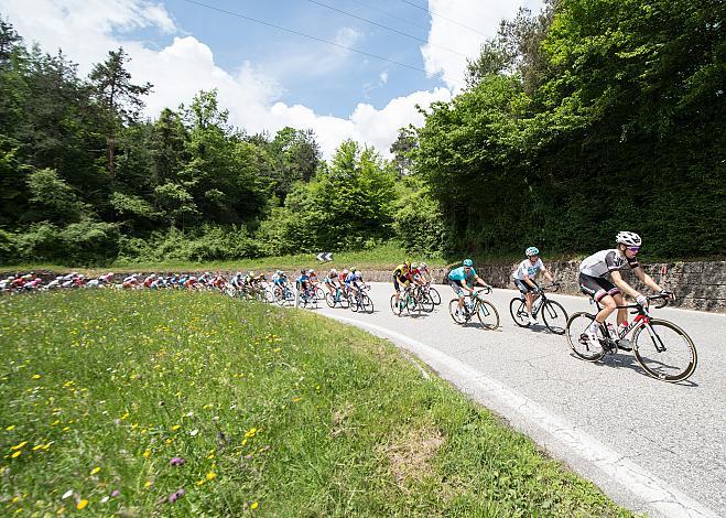 Das Feld im Anstieg nach Ampezzo Tolmezzo -  Sappada 176km