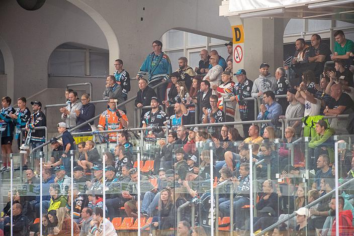 BWL Fans Steinbach Black Wings Linz  vs HC Motor Cesky Budejovice Test