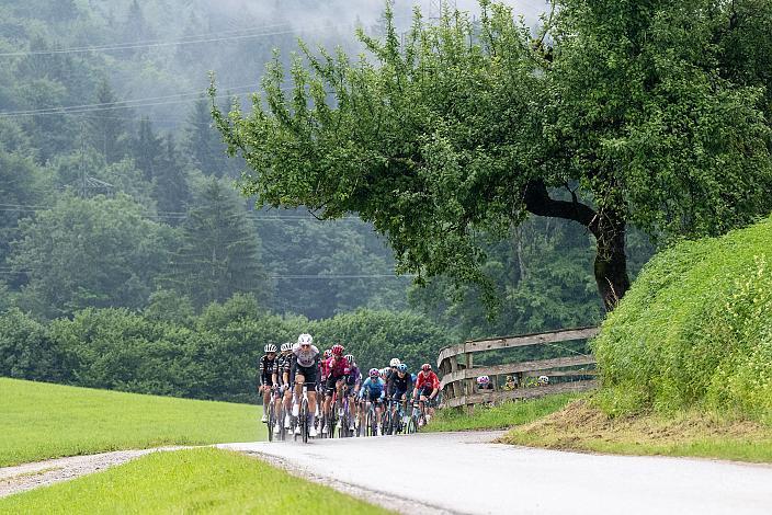 Das Peloton am Gaisberg angeführt von  Florian Vermeeersch (BEL, UAE Team Emirates - XRG), 3. Etappe Salzburg - Gaisberg,  Tour of Austria