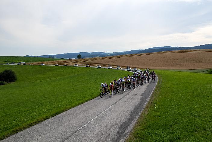 Das Peloton bei Putzleinsdorf, 2. Etappe Sarleinsbach - Sarleinsbach, Int. Oberösterreichische Versicherung OÖ Junioren Oberösterreich Rundfahrt
