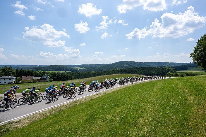 Das Peleton bei Lohnsburg 1. Etappe Eferding - Geinberg, Int. Raiffeisen Oberösterreich Rundfahrt UCI Kat. 2.2