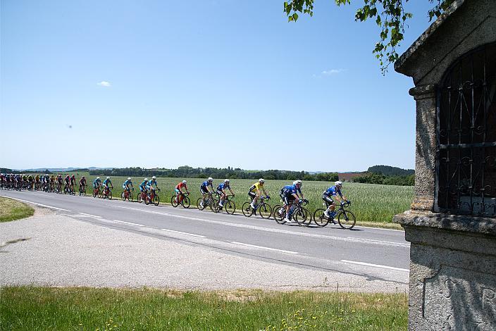 Timo Kielich (BEL, Alpecin-Deceuninck Development Team) im Gelben Trikot des Gesamtführenden, 2. Etappe Wels - Bad Leonfelden, Int. Raiffeisen Oberösterreich Rundfahrt UCI Kat. 2.2