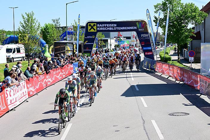 Herren Elite, U23, Road Cycling League Austria, 63. Raika Kirschbluetenrennen, Wels, Oberösterreich