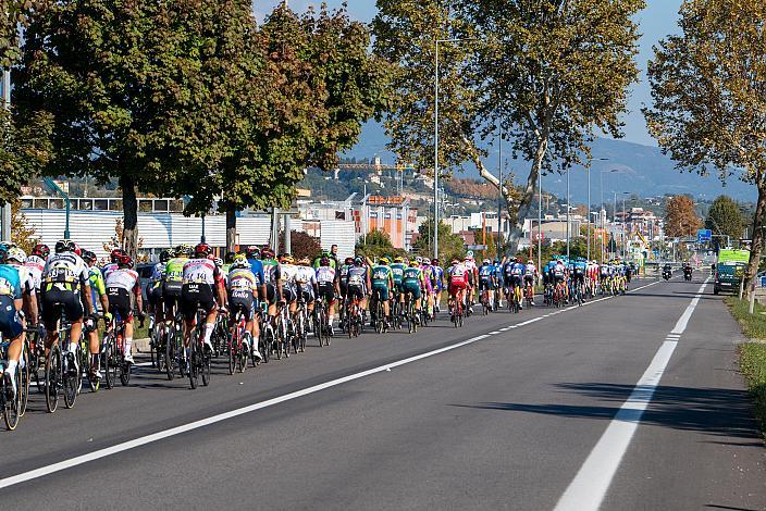 Das Peloton bei Susegana, Veneto Classic, UCI 1.1