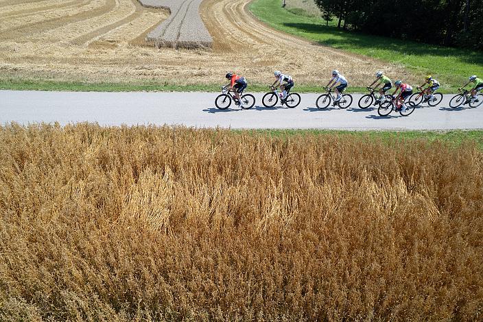 Das Peloton bei Bad Wimsbach, 3. Etappe Bad Wimsbach - Strass im Attergau, Int. Oberösterreichische Versicherung OÖ Junioren Oberösterreich Rundfahrt