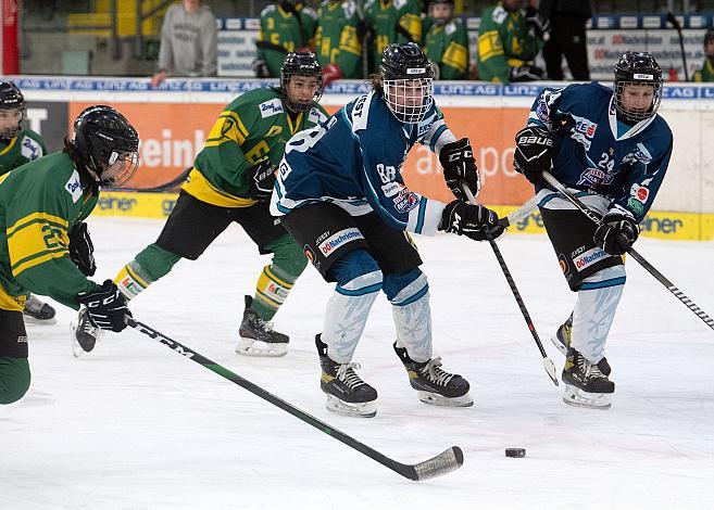 David Hofer (Eishockey Akademie Oberösterreich), Florian Divis (Eishockey Akademie Oberösterreich), Eishockey Akademie Oberösterreich vs EHC LustenauU16 Meisterschaft Oesterreich, U16 Nachwuchsliga, Eishockey,  