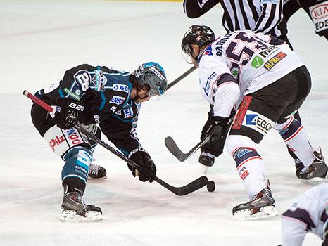 Rob Hisey, Linz und Andrew Sarauer (Fehervar AV19, #55), EHC Liwest Black Wings Linz vs Fehervar AV19, Pick Round