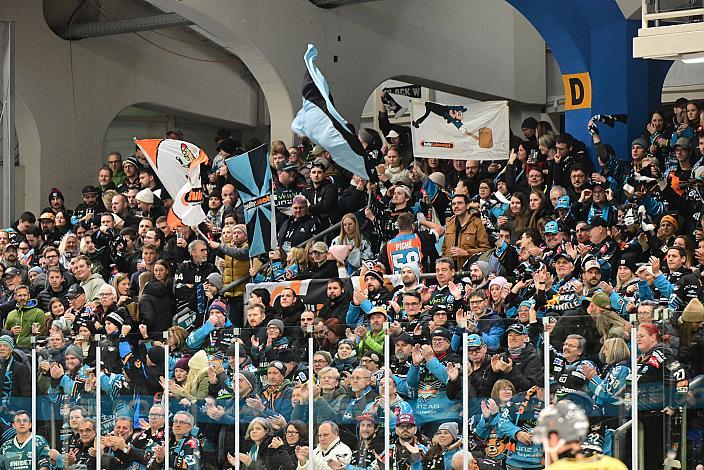 Fans der Steinblach Black Wings 19. Runde ICE, Steinbach Black Wings Linz vs HC Pustertal Wölfe, Linz AG Eisarena 