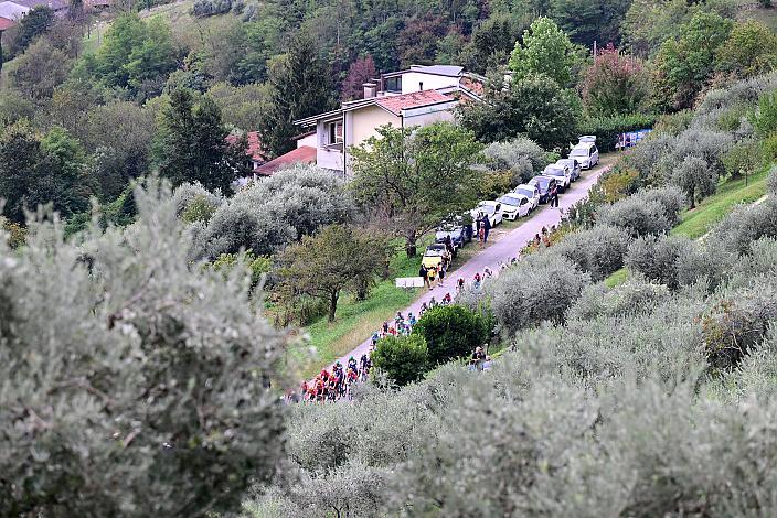 Das Peleton im Anstieg nach La Rosina bei Marostica, 3rd Veneto Classic UCI 1.1 Pro Bassano del Grappa