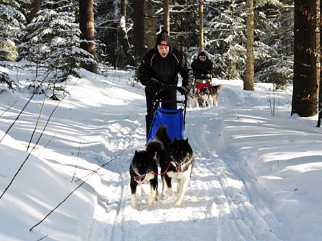 Daniel Mitterdorfer, EHC Liwest Black Wings Linz zu Gast auf der Mountain Wulf Farm