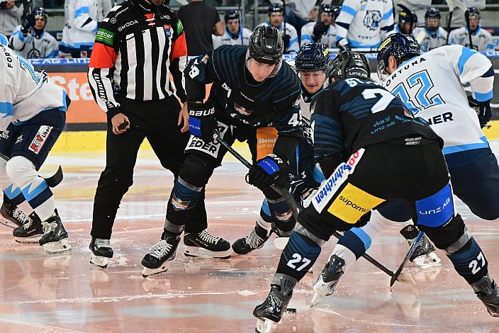 Graham Knott (Steinbach Black Wings Linz)  Steinbach Black Wings Linz vs Bili Tygri Liberec (CZE) , Linz AG Eisarena 