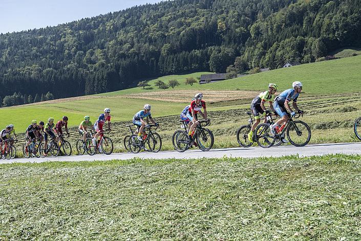 Das Feld mit Cupsieger Stephan Rabitsch (AUT, Team Felbermayr Simplon Wels), Rad 21. GP Judendorf-Strassengel