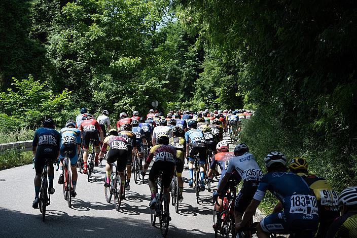 Das Peleton klettert zur Schaunburg bei Eferding, 1. Etappe Eferding - Geinberg, Int. Raiffeisen Oberösterreich Rundfahrt UCI Kat. 2.2