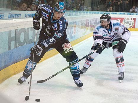 Matthias iberer, Linz und Johan Ejdepalm (Fehervar AV19, #4), EHC Liwest Black Wings Linz vs Fehervar AV19, Pick Round