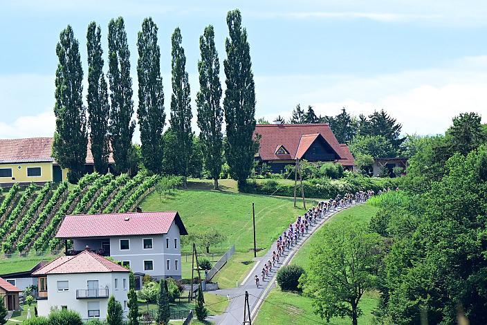 Peloton 1. Etappe von Graz - Gamlitz, 188km, Tour of Austria