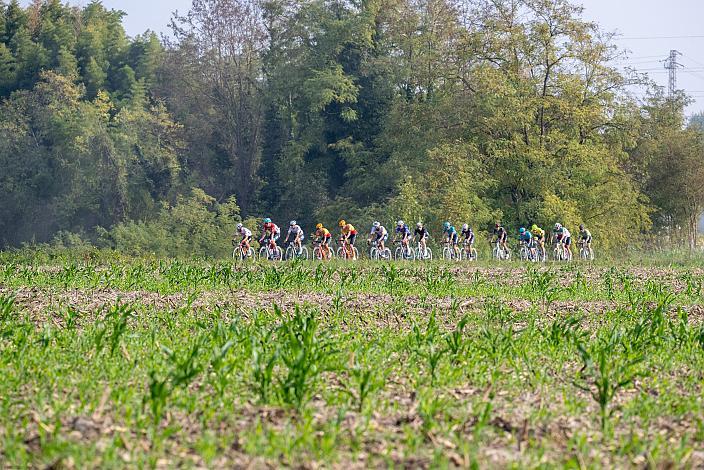 Das Peleton mit Ziga Horvat (SLO, Hrinkow Advarics) Serenissima Gravel, Porto Barricata - Piazzola sul Brenta 190,9 km