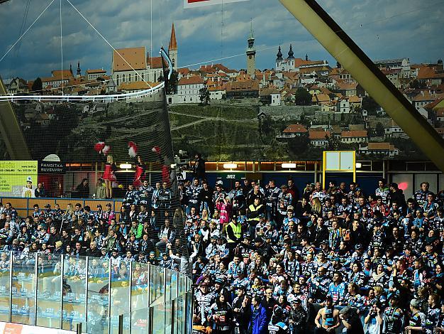 Linzer Fans in Znaim HC Orli Znojmo vs. EHC Liwest Black Wings Linz 5. Viertelfinale, Play-Off