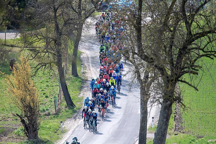 Herren Elite, U23, Radliga, 60. Raika Kirschbluetenrennen, Wels, Oberösterreich