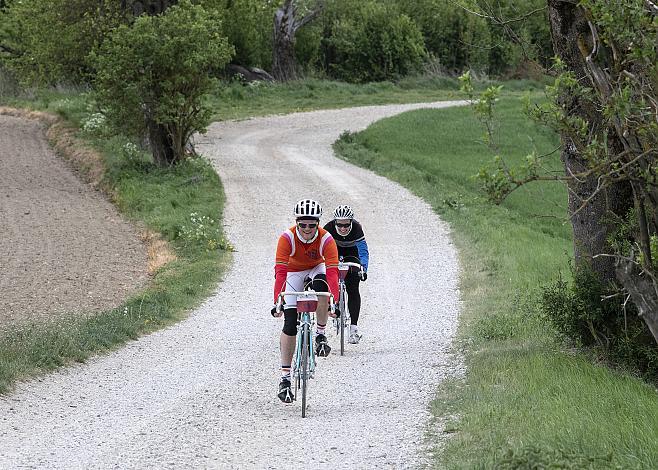 Das Feld der Fahrer bei Buchkirchen