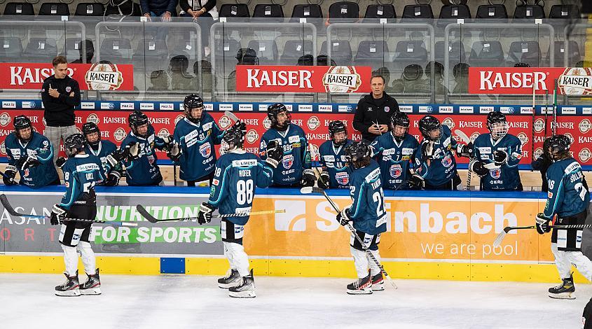 Das Team der Eishockey Akademie Oberösterreich feiert das Tor zum 2 zu 0, Eishockey Akademie Oberösterreich vs EC KAC, bet-at-home ICE Junior Hockey League