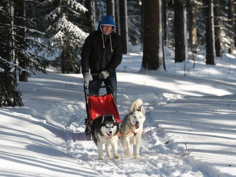 Patrick Spannring, EHC Liwest Black Wings Linz zu Gast auf der Mountain Wulf Farm