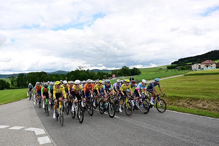 Das Peloton unterwegs im Innviertel, 2. Etappe Eferding - Reichersberg, Oberösterreich Rundfahrt