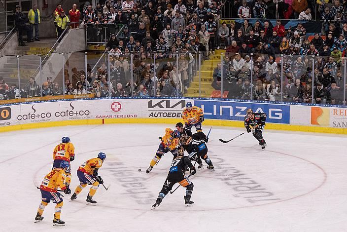 Steinbach Black Wings Linz vs  - Migross Supermercati Asiago Hockey 1935, Runde 37, ICE Hockey League, Steinbach Black Wings Linz, Linz AG Eisarena 