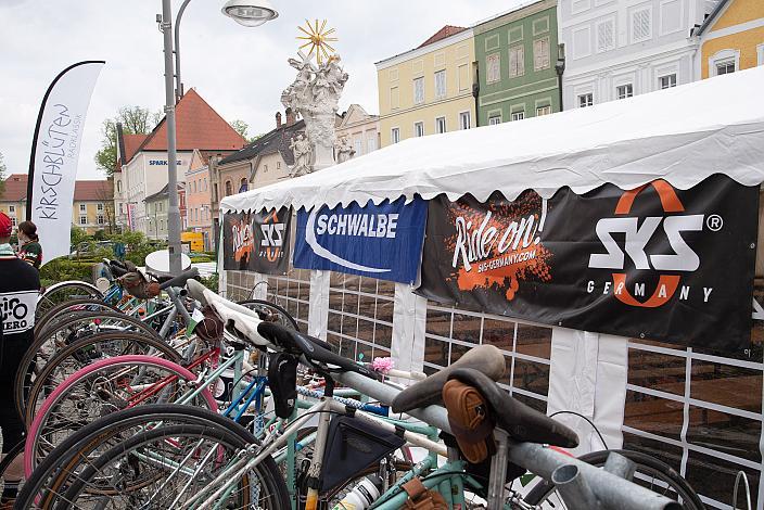 7. Kirschblüten Radklassik, Rad Klassik, Oldtimer, Vintage, Stahlrad, Radsport, Eferding, Oberösterreich