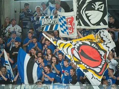 Fans aus Straubing, EHC Liwest Black Wings Linz vs Straubing Tigers