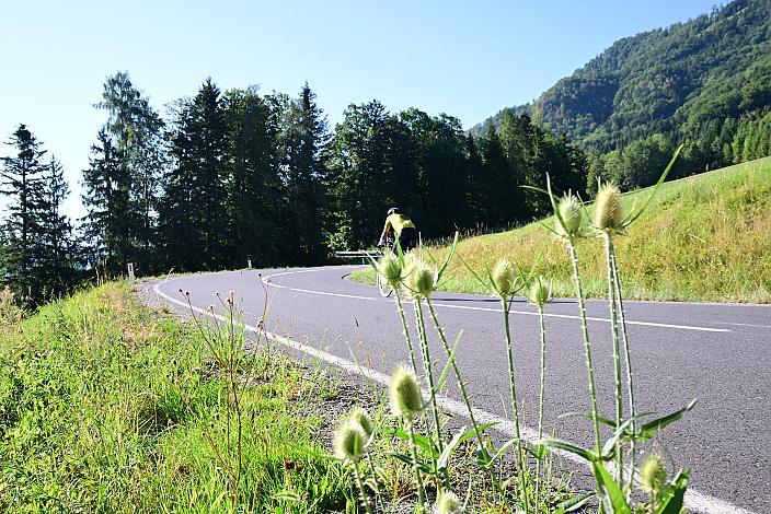 Race Around Austria, Challeng, Radsport