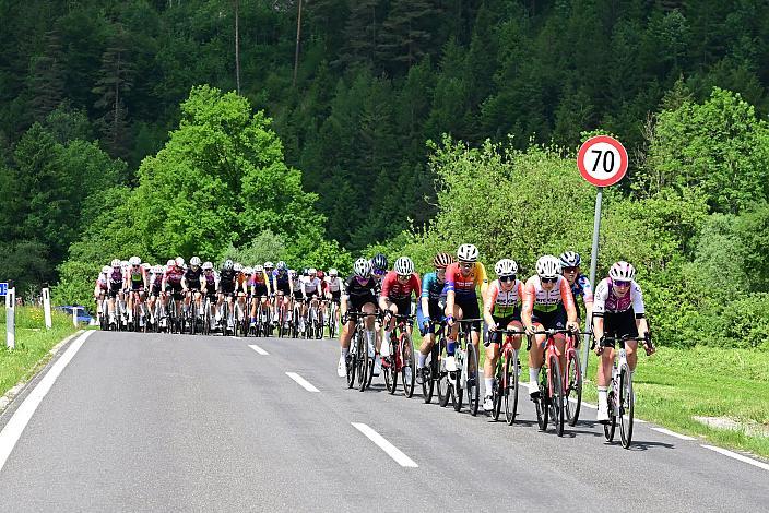 Das Peloton unterwegs im Ybbstal zum Hochkar, Ybbsitz - Hochkar, Sportland NÖ women tour